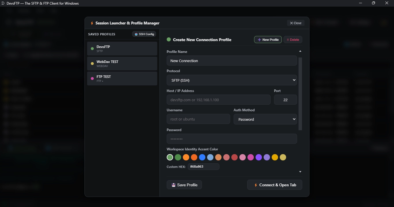 Profile Manager Dialog (Dark Theme)