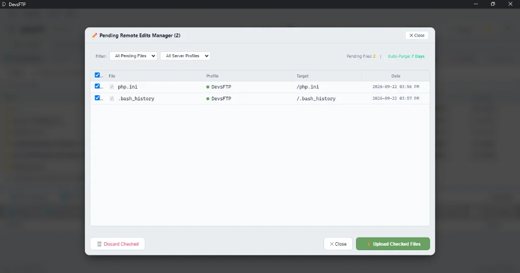 Pending Remote Edits Manager Dialog (Light Theme)