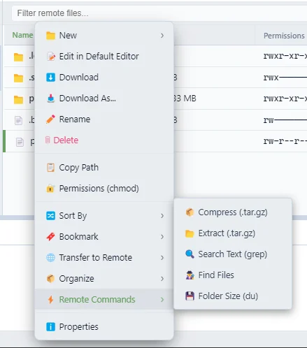 Server-Side Remote Commands Menu (Light Theme)