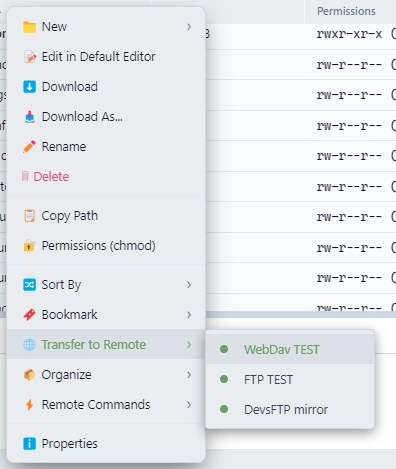 Remote-to-Remote Transfer (Light Theme)