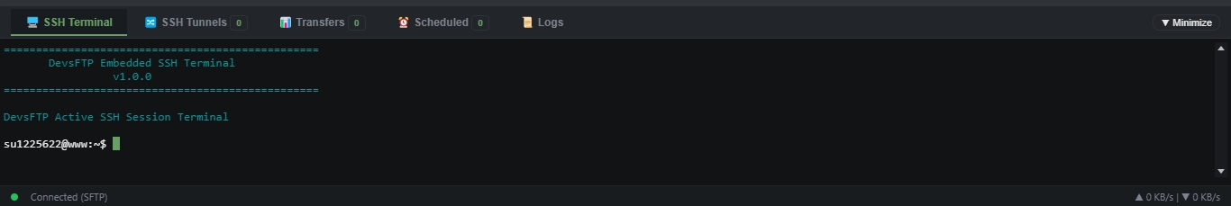 Embedded SSH Terminal (Dark Theme)