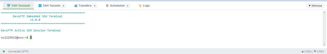 Embedded SSH Terminal (Light Theme)