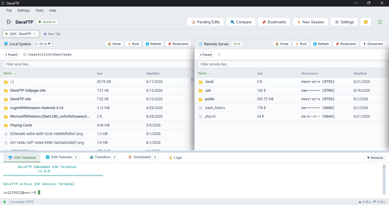 DevsFTP Connected Workspace (Light Theme)
